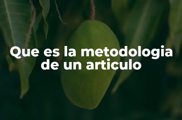 Que es la Metodologia de un Articulo