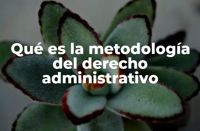 Qué es la Metodología Del Derecho Administrativo