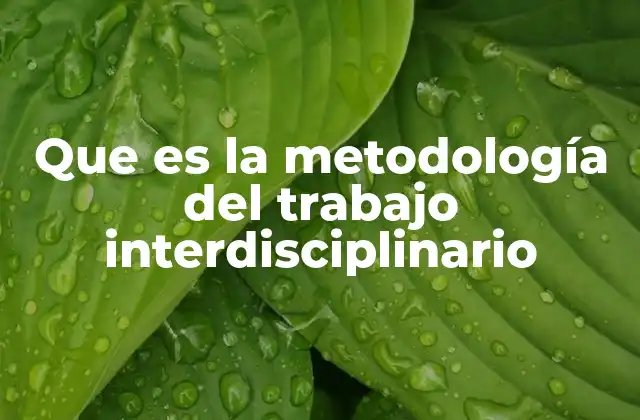 Que es la Metodología Del Trabajo Interdisciplinario