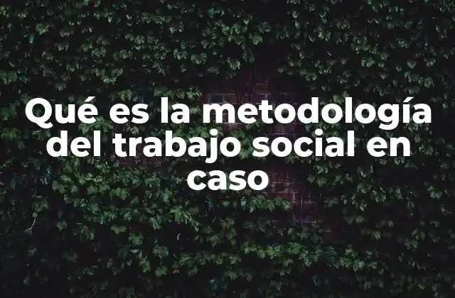 Qué es la Metodología Del Trabajo Social en Caso