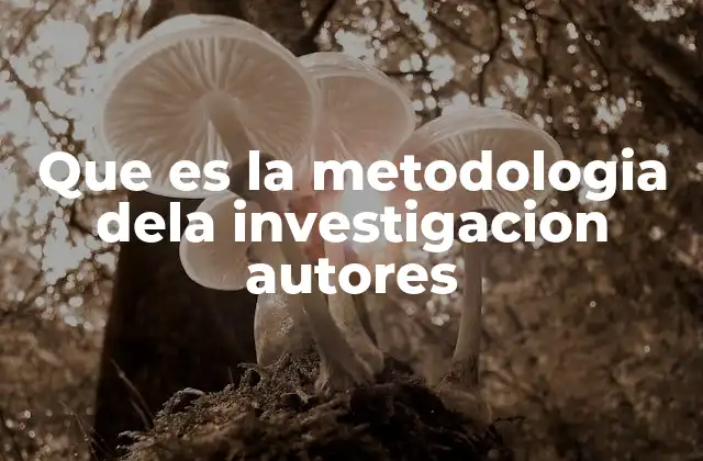 Que es la Metodologia Dela Investigacion Autores