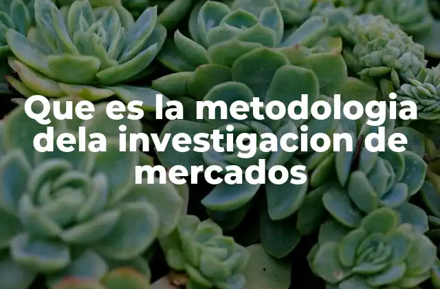 Que es la Metodologia Dela Investigacion de Mercados