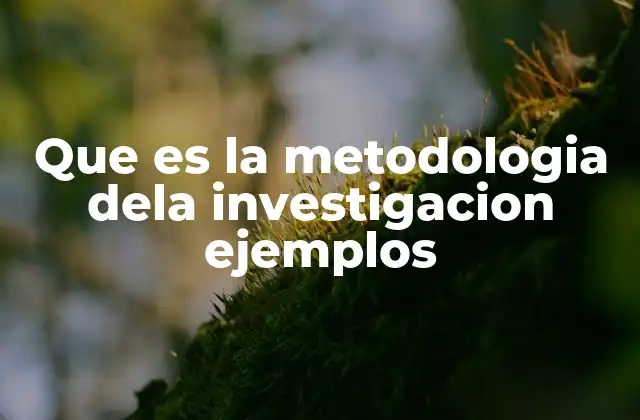 La base estructural de cualquier estudio científico