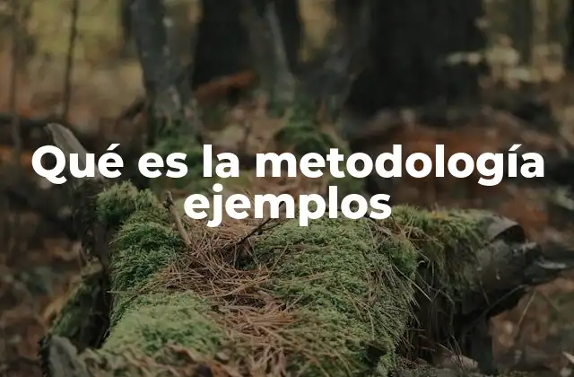 Qué es la Metodología Ejemplos