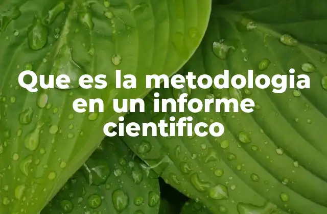 Que es la Metodologia en un Informe Cientifico