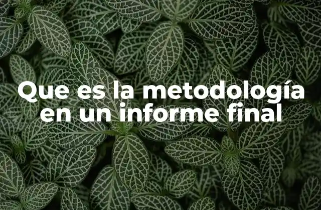 Que es la Metodología en un Informe Final
