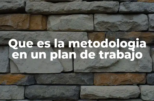 Que es la Metodologia en un Plan de Trabajo