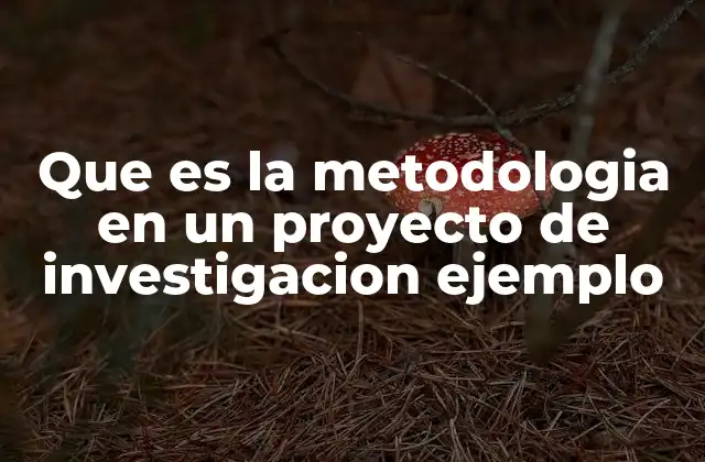 Que es la Metodologia en un Proyecto de Investigacion Ejemplo