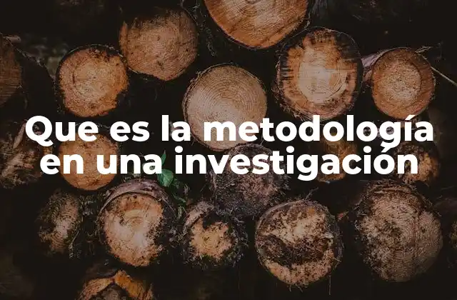 Que es la Metodología en una Investigación