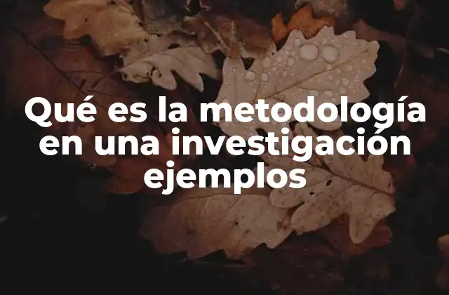 Qué es la Metodología en una Investigación Ejemplos