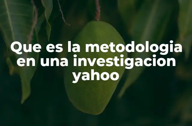 Que es la Metodologia en una Investigacion Yahoo