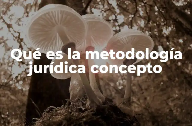 Qué es la Metodología Jurídica Concepto