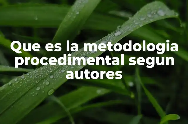 Que es la Metodologia Procedimental Segun Autores