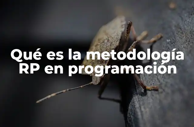 Qué es la Metodología Rp en Programación