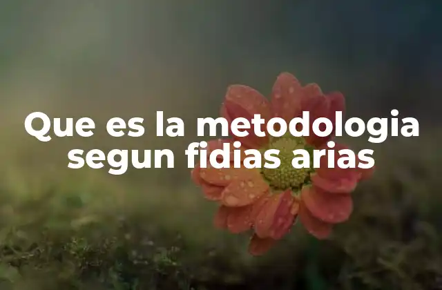 Que es la Metodologia Segun Fidias Arias