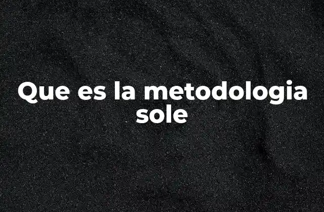 Que es la Metodologia Sole 2 La importancia de estructurar procesos de trabajo