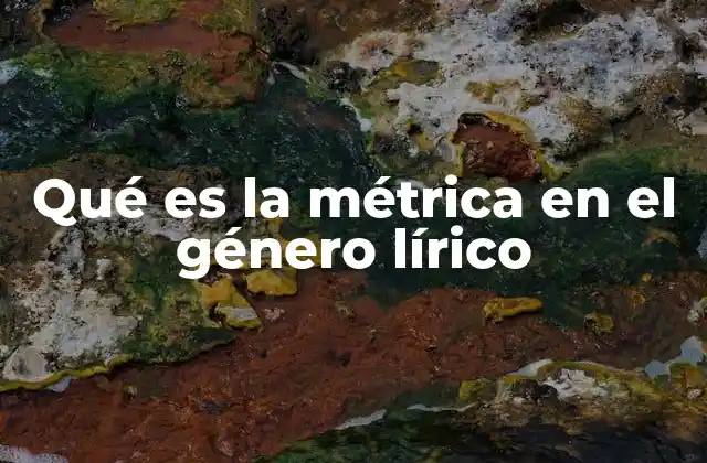 Qué es la Métrica en el Género Lírico