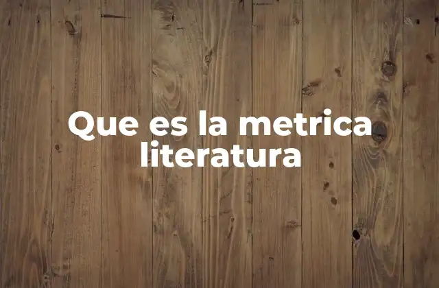Que es la Metrica Literatura