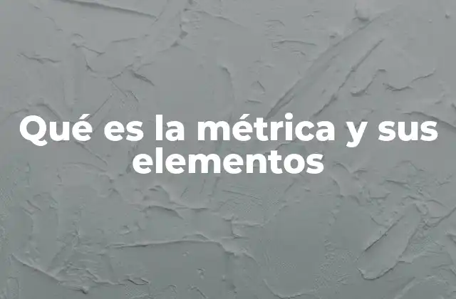 Qué es la Métrica y Sus Elementos