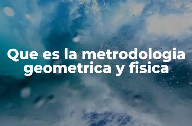 Que es la Metrodologia Geometrica y Fisica