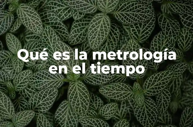 Qué es la Metrología en el Tiempo