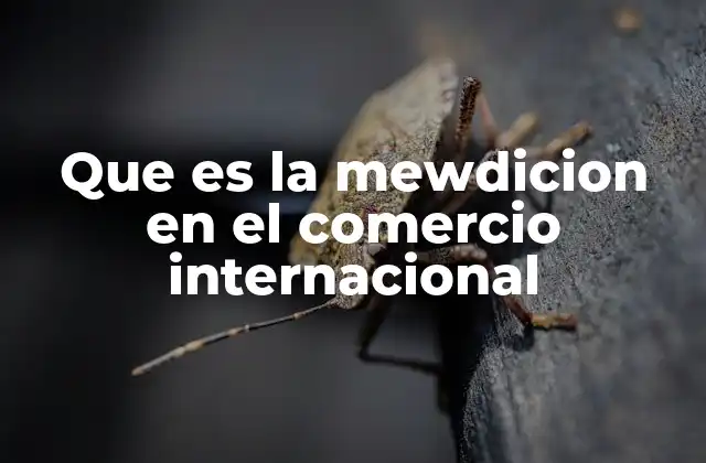 Que es la Mewdicion en el Comercio Internacional
