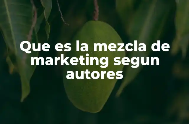 Que es la Mezcla de Marketing Segun Autores