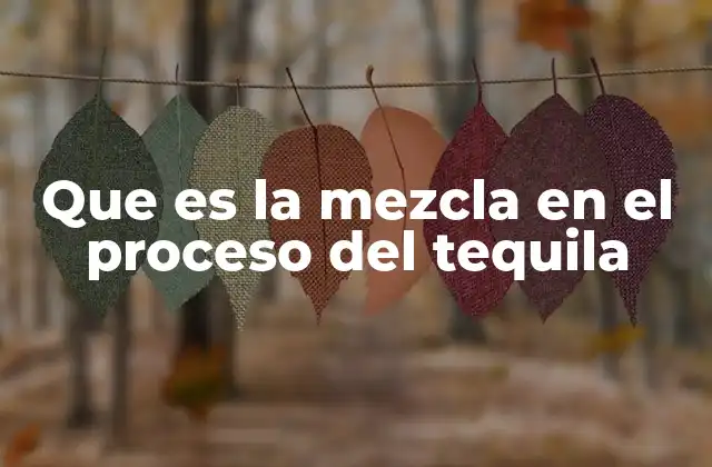 Que es la Mezcla en el Proceso Del Tequila