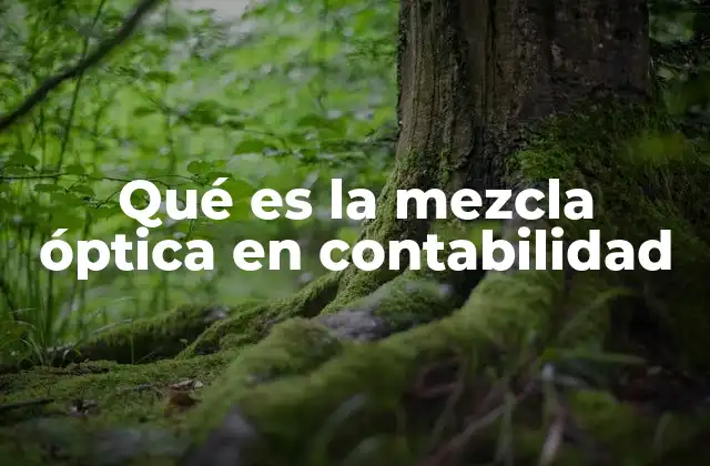 Qué es la Mezcla Óptica en Contabilidad