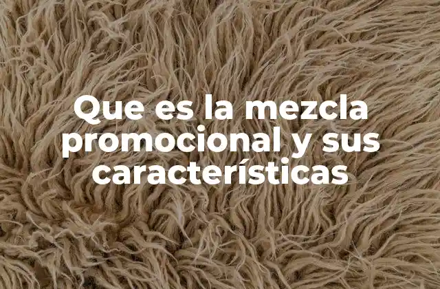 Que es la Mezcla Promocional y Sus Características