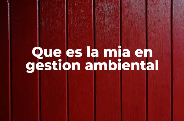 Que es la Mia en Gestion Ambiental