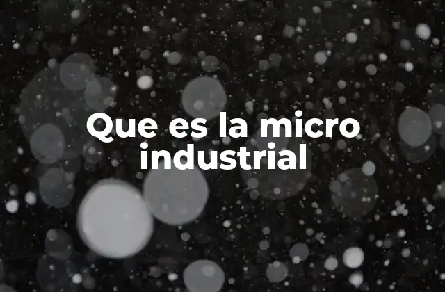 Que es la Micro Industrial 2 Características esenciales del modelo microindustrial