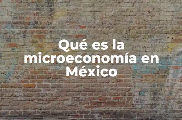 Qué es la Microeconomía en México