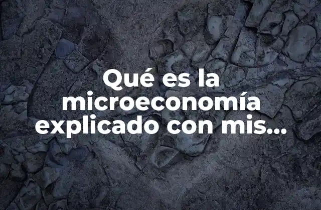 Qué es la Microeconomía Explicado con Mis Propias Palabras