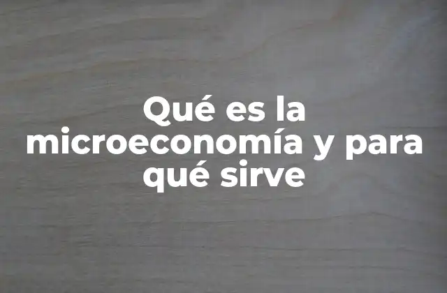Qué es la Microeconomía y para Qué Sirve