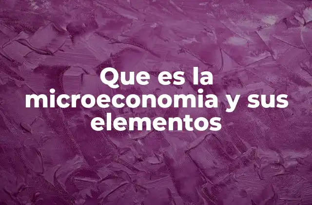 Que es la Microeconomia y Sus Elementos