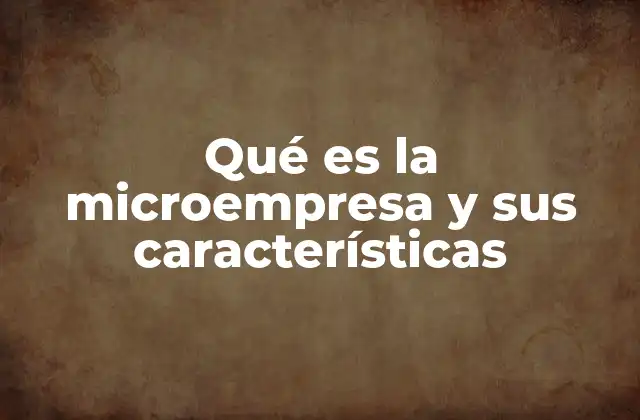 Qué es la Microempresa y Sus Características