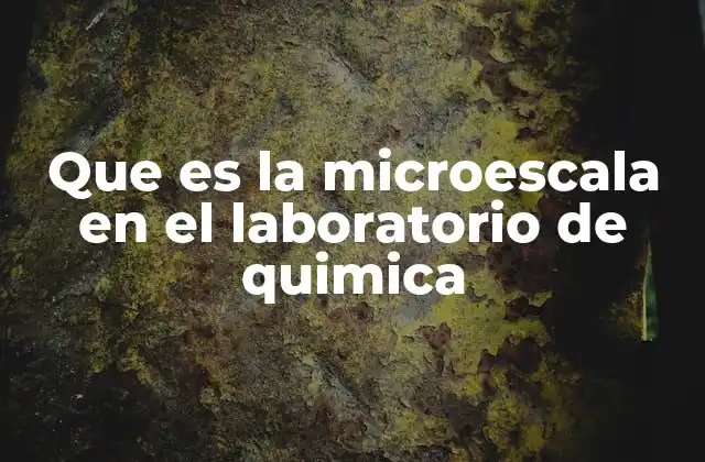 Que es la Microescala en el Laboratorio de Quimica