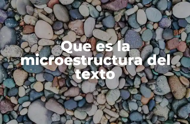 Que es la Microestructura Del Texto