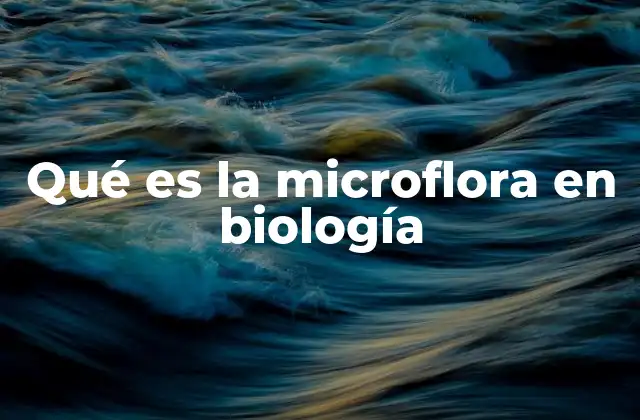Qué es la Microflora en Biología 2 La importancia de la microflora en el equilibrio biológico