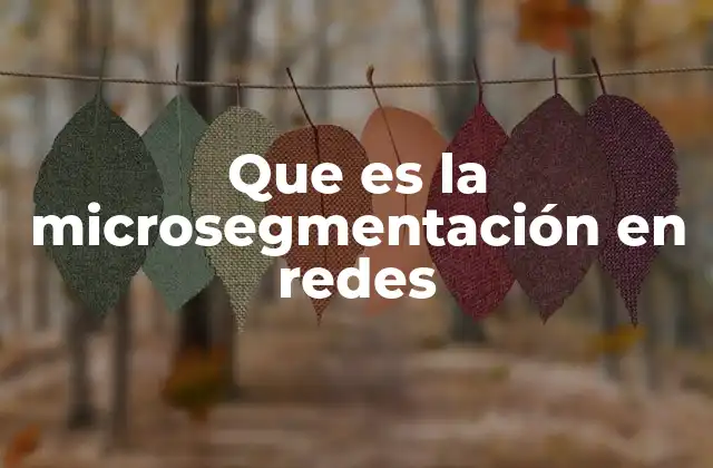 Que es la Microsegmentación en Redes 2 Cómo la microsegmentación mejora la seguridad de las redes empresariales