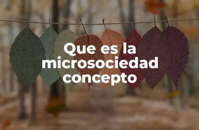 Que es la Microsociedad Concepto