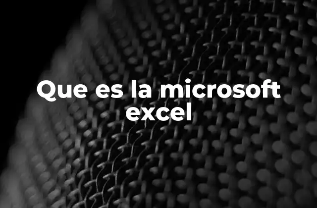 Que es la Microsoft Excel