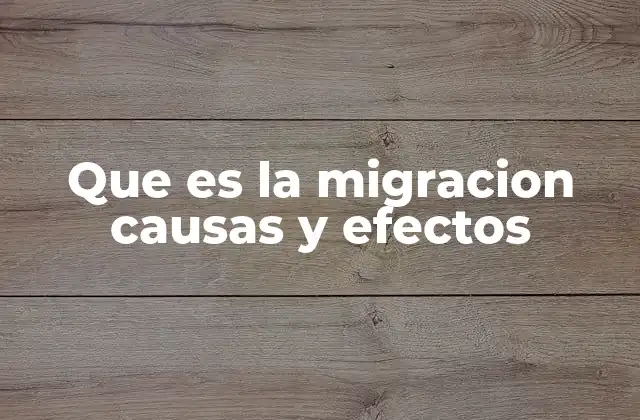 Que es la Migracion Causas y Efectos