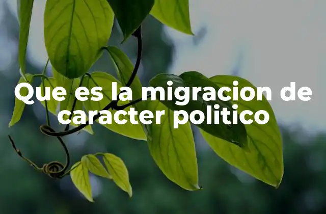 Factores que impulsan la migración política
