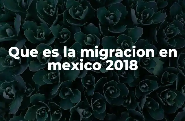 Que es la Migracion en Mexico 2018