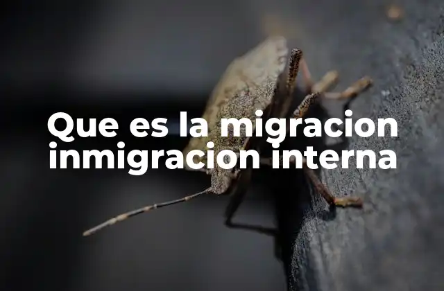 Que es la Migracion Inmigracion Interna