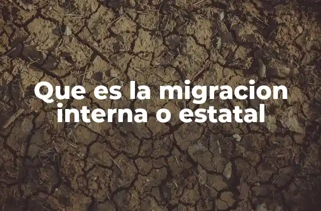 Que es la Migracion Interna o Estatal