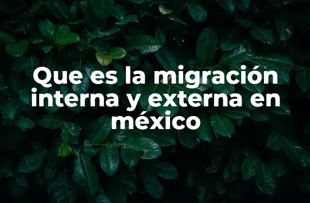 Que es la Migración Interna y Externa en México