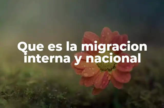 Que es la Migracion Interna y Nacional